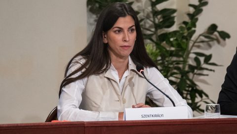 Szentkirályi Alexandra havi 1,7 millióért ad tanácsot Kocsis Máténak