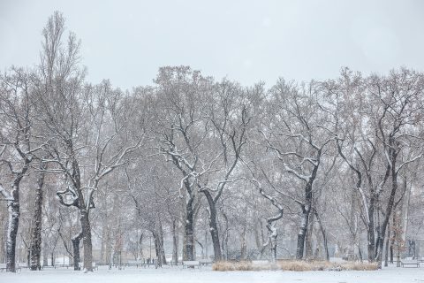 Nemsokára havazás jöhet, lehet, hogy az utolsó