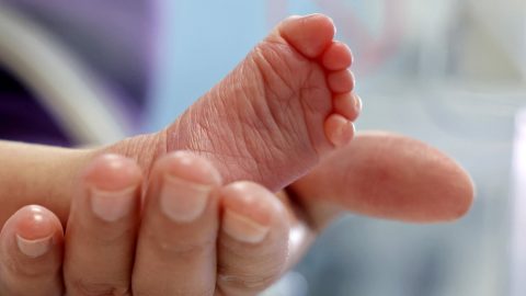 14 kórházban hagyott csecsemő elhelyezése miatt kért segítséget az Országos Kórházi Főigazgatóság