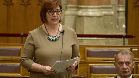 A bíróság szerint nem voltak becsületsértőek a DK-s politikus Áder húgának címzett mondatai
