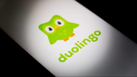 Meghalt a Duolingo-bagoly, Dua Lipa is gyászolja