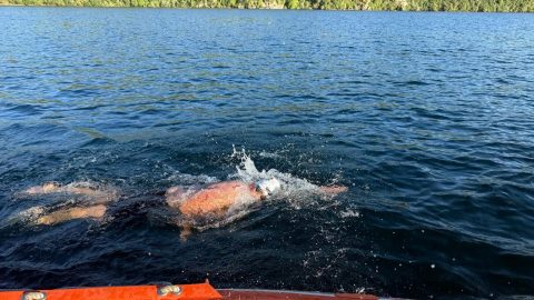 „Jó érzéssel tölt el, hogy egy ennyire nehéz helyszínen is túljutottam” – Mányoki Attila első magyarként úszta át a Taupo-tavat