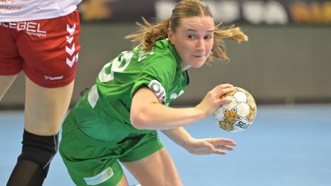 Bokasérülést szenvedett a Győri Audi ETO KC holland balszélsője