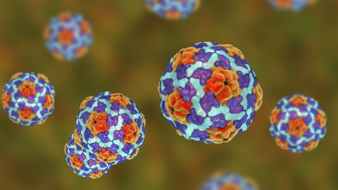 Hepatitisz A-járvány van Magyarországon, hétszeresére nőtt a fertőzött betegek száma