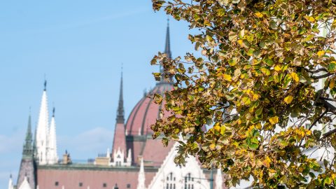 Nagy Márton: előrehozza a kormány a 2026-os költségvetést, minden kiderül az adókedvezményekről