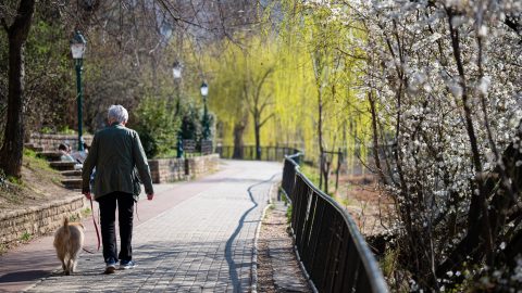 Megüti a 20 fokot a napi csúcshőmérséklet
