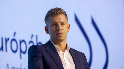 A szülés előtt álló nők szabad orvosválasztásának visszaállítását ígéri Magyar Péter