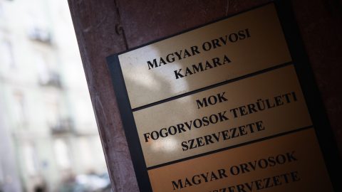 Az ápolók szervezete nem tüntet az orvosokkal