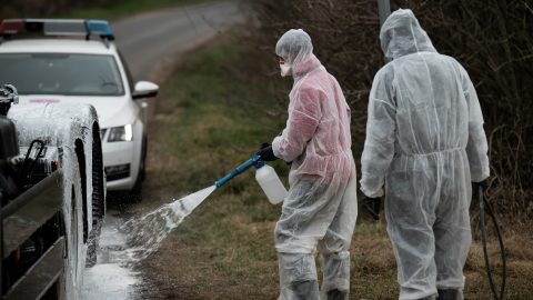 Száj- és körömfájásjárvány: lezárják a kisebb határátkelőket a szlovák–magyar határon