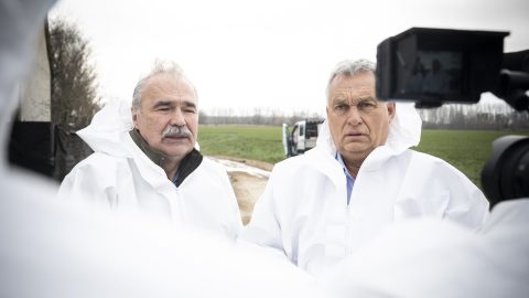 Orbán: Az állományt ki kell irtani, a fertőzést lokalizálni kell, meg kell akadályozni terjedését