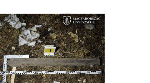 Őrjöngött és deszkával támadt a rendőrökre egy nő, mert azok meg akarták bilincselni az unokaöccsét