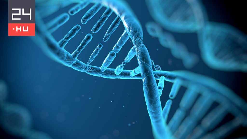 Rejtélyes emberi populáció genetikai nyomaira bukkantak