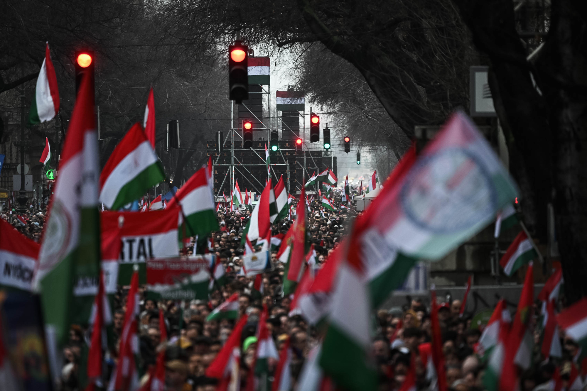 A Tiszás aktivistáktól azt sikerült megtudni, 1