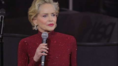 Sharon Stone azt állítja, váratlanul és ok nélkül kitették az Egy kis szívesség második részéből