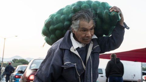 Avokádóbiznisz: besározódott a superfood, drogkartellek tették rá a kezüket az üzletre