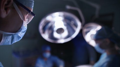 Először ültettek be sertésmájat egy emberbe