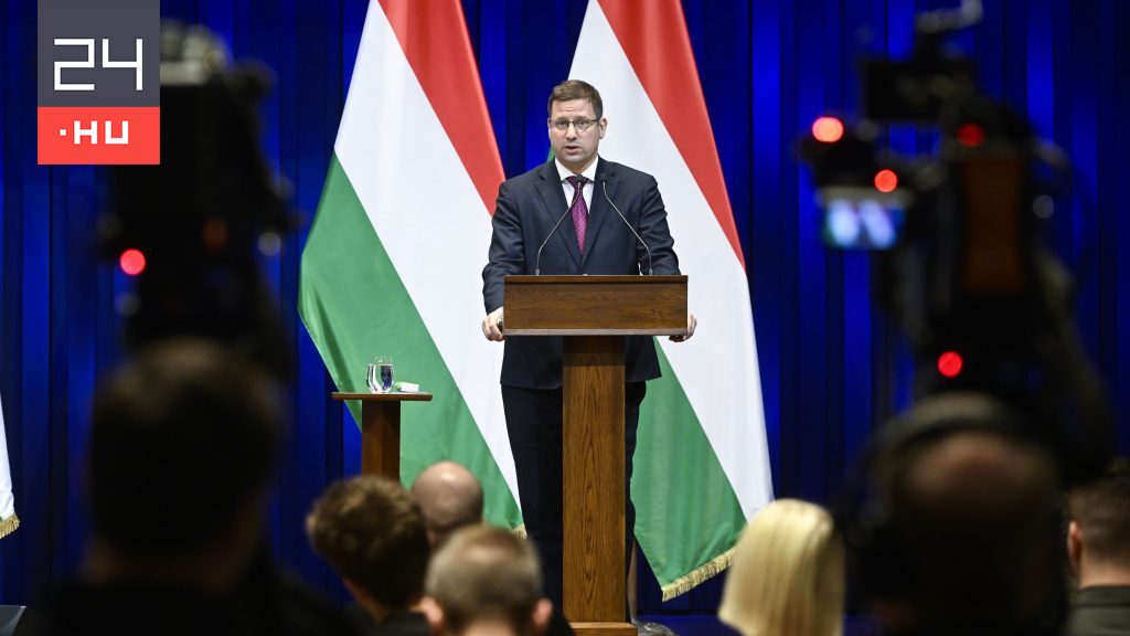 Vizsgálatot rendelt el a kormány Ruszin-Szendi Romulusz zsírleszívásának ügyében