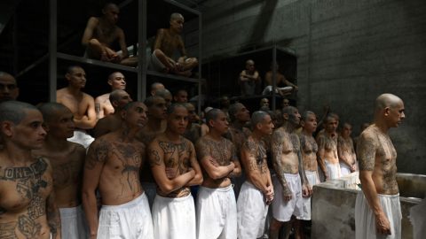 Őrizetbe vették az MS-13 bűnbanda egyik vezetőjét Mexikóban