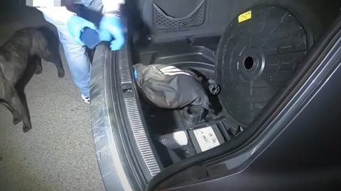1500 adag marihuána volt egy fiatal tornazsákjában