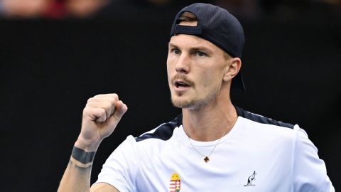 A dubaji szerencsés vesztes most csak mosolyogni tudott Fucsovics bravúros ütései láttán