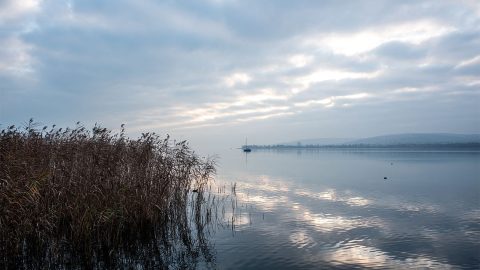 Balatonfűzfő polgármestere: bűn okozza az elviselhetetlen bűzt