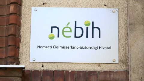 HVG: A közétkeztető mulasztása miatt betegedett meg közel ezer ember Nagykőrösön