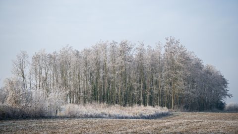 Hózápor, havaseső, zápor színesíti a hétfői időjárást