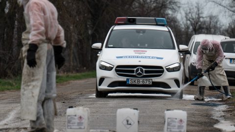 Újabb településeken jelent meg a száj- és körömfájás, fertőtlenítő pontokat állítanak fel a sztrádán, a határátkelőknél