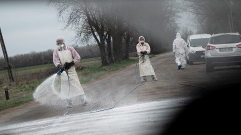Megrázó videók terjednek a területről, ahol állítólag több ezer marhát földeltek el, reagált az Agrárminisztérium