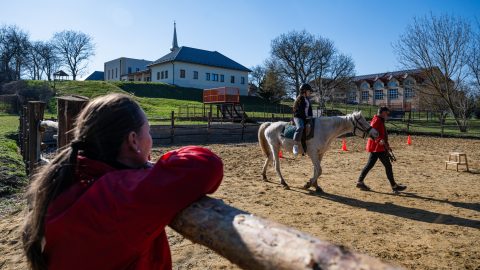„A gyerekeim lóháton sajátították el a szorzótáblát”