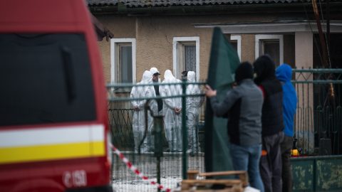 Száj- és körömfájás: Újabb gócpontok a szlovák-magyar határnál, átkelőket zárnak le a szlovákok
