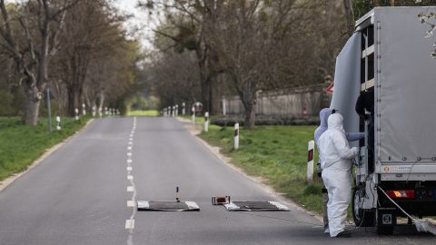 Rábapordányban is felbukkantak a száj- és körömfájás járvány tünetei