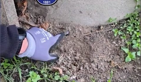 A rendőrkapitányság előtt ásta el a drogot a díler