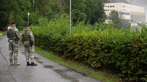 Száj- és körömfájás: Ausztria katonákat vezényel a határaihoz