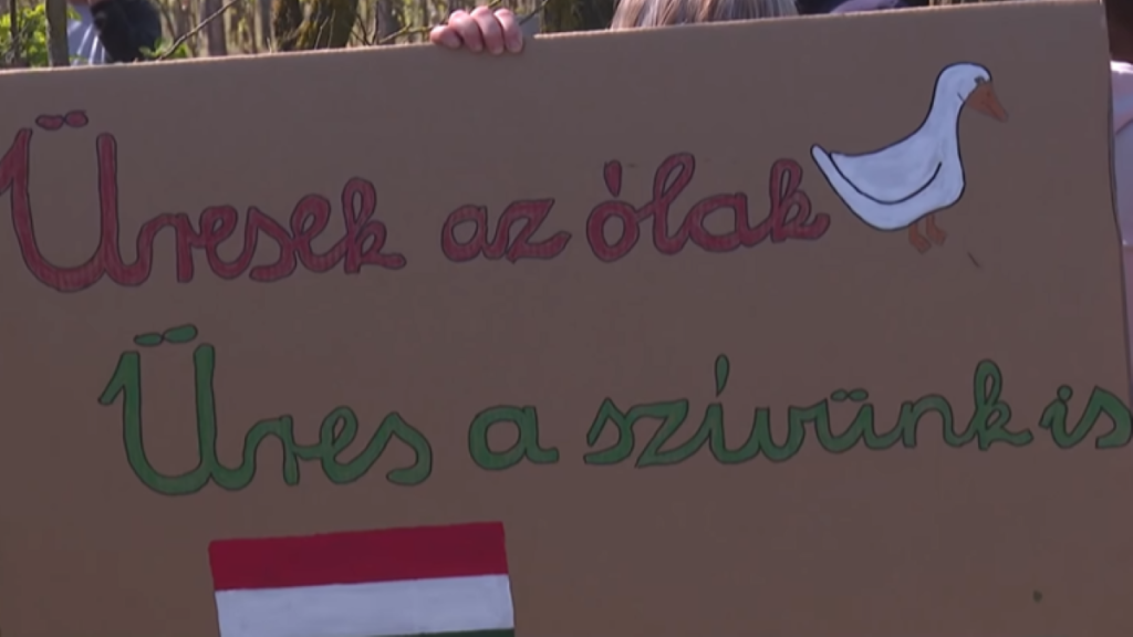 Tüntettek madárinfluenza sújtotta gazdák, szerintük kétmilliárd forint semmire sem elég