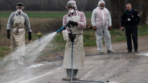 Agrárminiszter: Óriási a kár és az emberi fájdalom