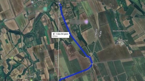 Kutyát sétáltatni indult egy 71 éves férfi, 6 órával később 8 kilométerrel arrébb találták meg