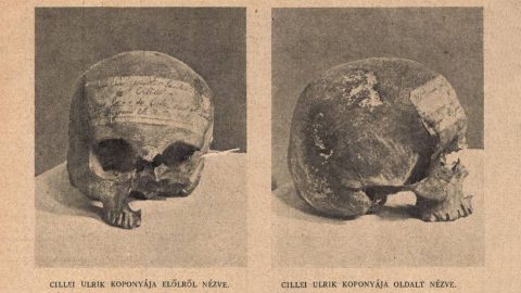 Cillei Ulrikot megölték, Újlaki Miklós királyként halt meg