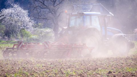Csontszáraz földbe vetnek az alföldi gazdák