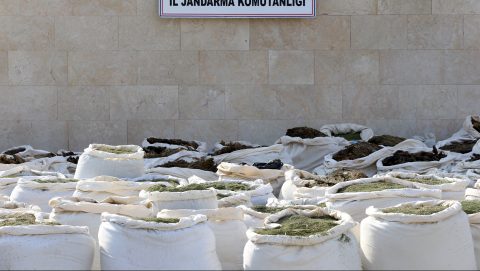 Akaratlanul téphetett be Törökországban 25 ezer ember