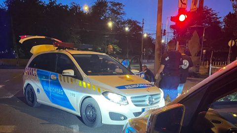 Nappal, a nyílt utcán fajtalankodhatott kutyájával egy férfi Józsefvárosban