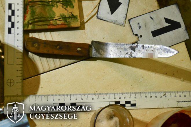 Meghallotta, hogy lustának nevezte a főbérlője, és ki akarja tenni a szűrét, meghalsz üvöltések kíséretében rátámadt, és brutálisan kivégezte 1