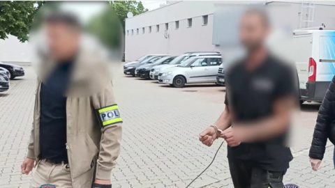Elfogták a körött állatkínzót, aki ismerőse kérésére kivégzett öt újszülött kölyökkutyát