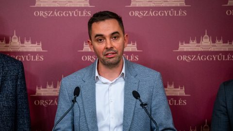 Nagy visszatérő ül be Orosz Anna parlamenti székébe