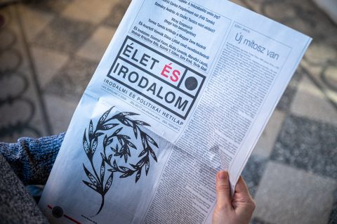 A pofon röpte