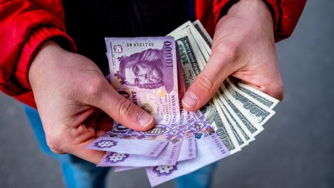 Rekordösszegben tartanak devizát a magyarok
