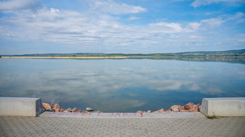Tömeges halpusztulás a Velencei-tóban: 1800 kilogrammnyi tetemet gyűjtöttek össze