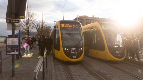 Népszava: Leállhat a CAF-projekt, a BKK nem tud fizetni az új villamosokért