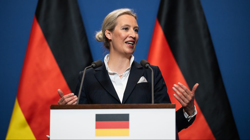 Alkotmányellenes szélsőjobboldali párttá nyilvánították a német AfD-t