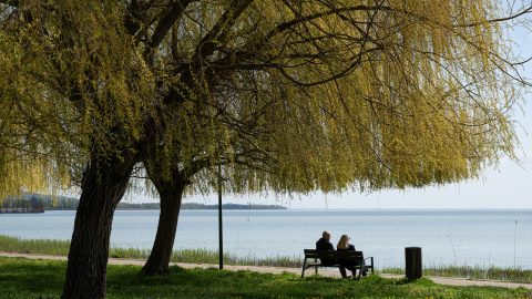 600 ezer körüli bérrel, juttatásokkal csábíthatják a Balatonra nyárra a dolgozókat